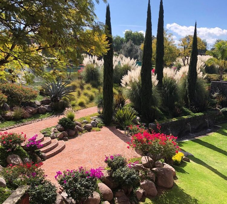 San Miguel de Allende: Where to Stay, What to Eat, & What to Do in the Top-Ranked Destination
