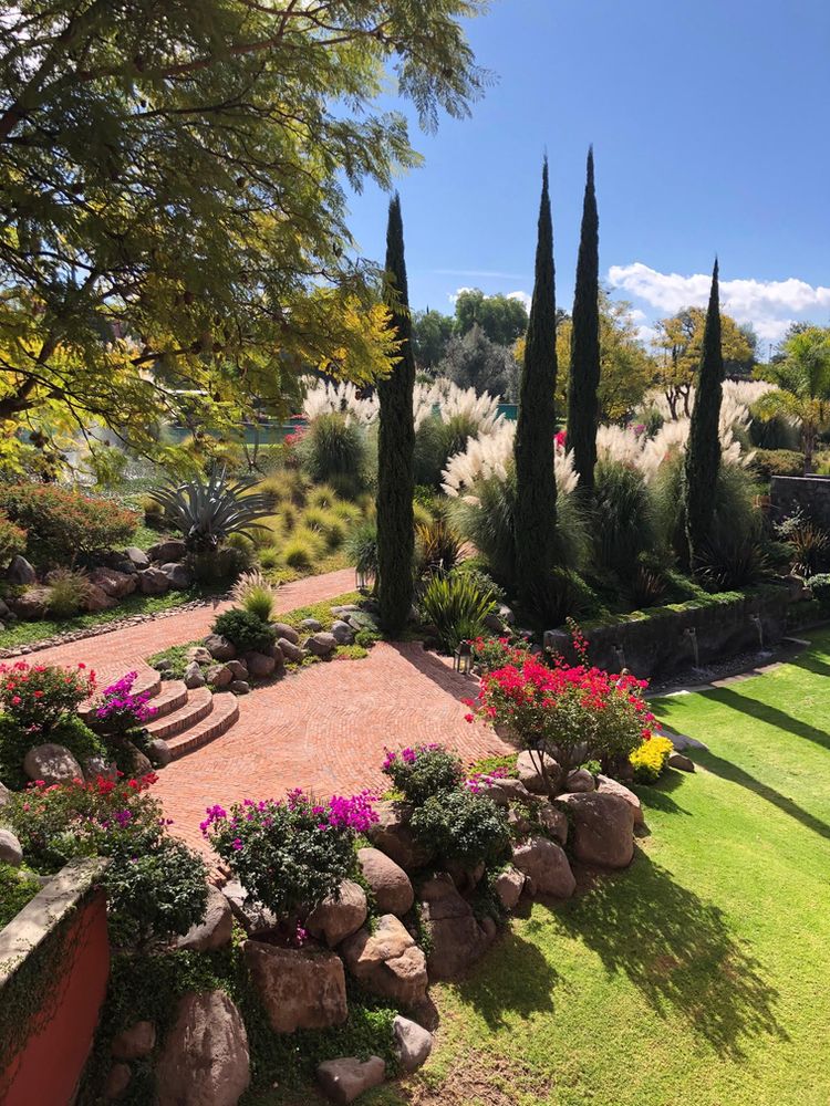 a jardin in San Miguel de Allende