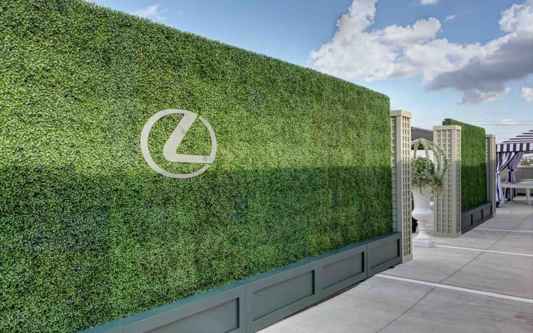 Lexus Grand Opening