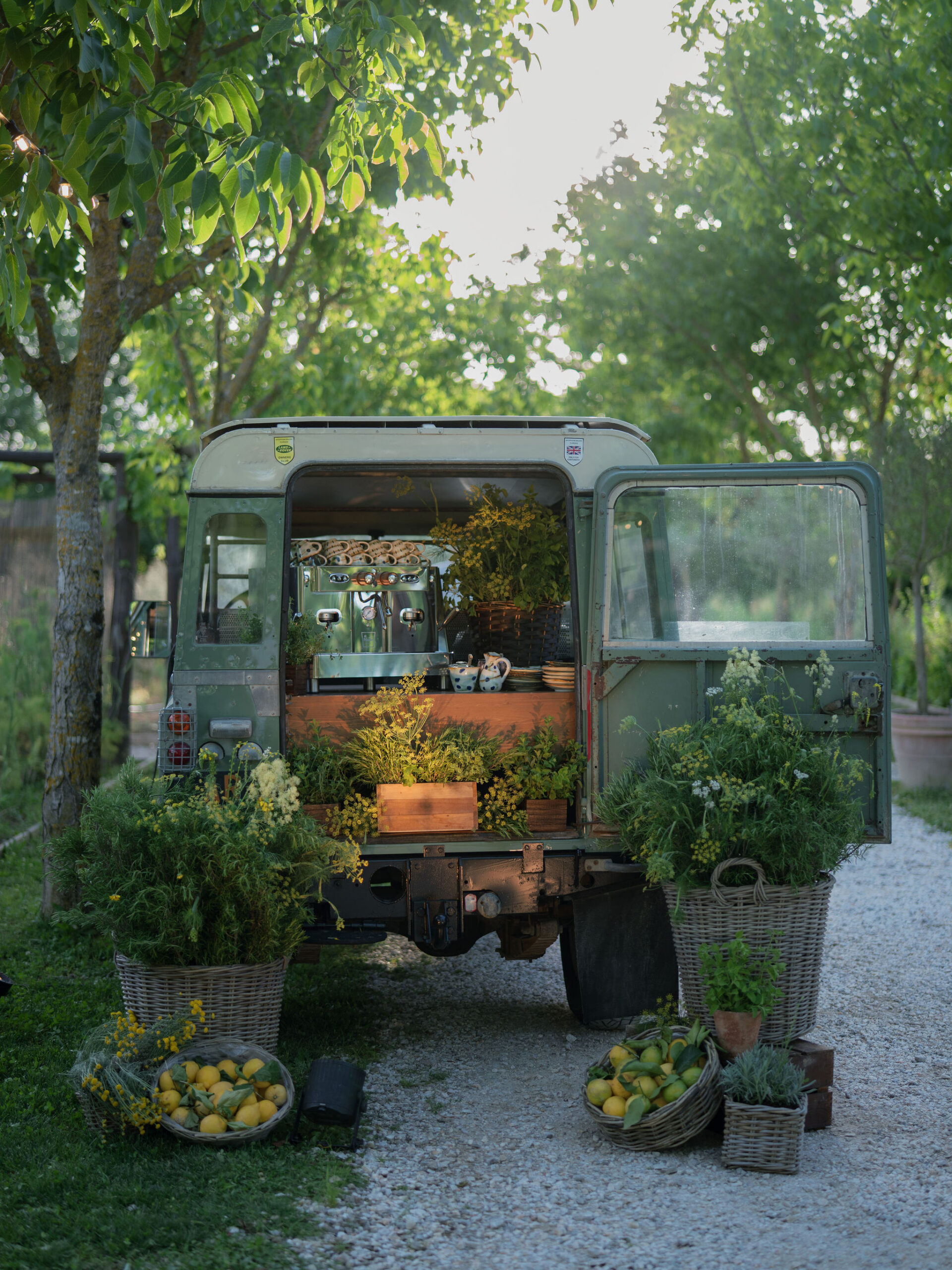 Garden Dinner Party in Italy